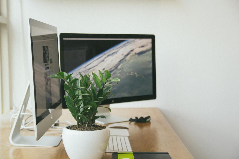 Monitor